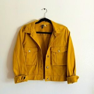 Sunflower Yellow Jacket